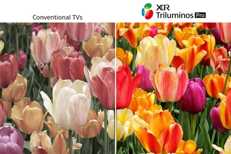 các điểm nổi bật nhất trên tivi Sony Google 4K 75 inch K-75S30 (ảnh 2)