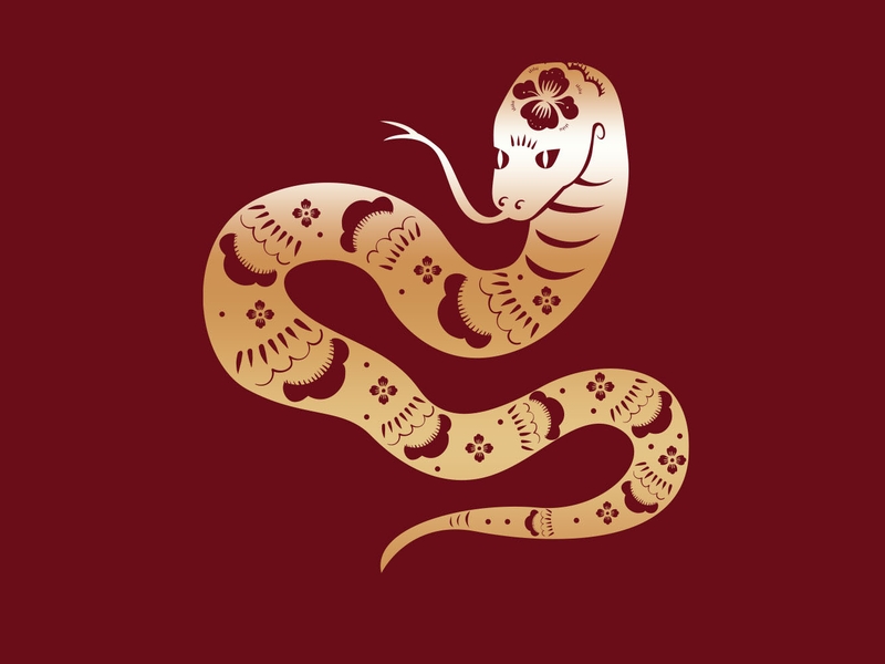 điện thoại hợp phong thủy 12 con giáp năm 2025 hình 7