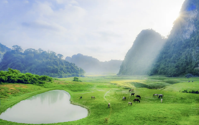 Thảo nguyên Đồng Lâm