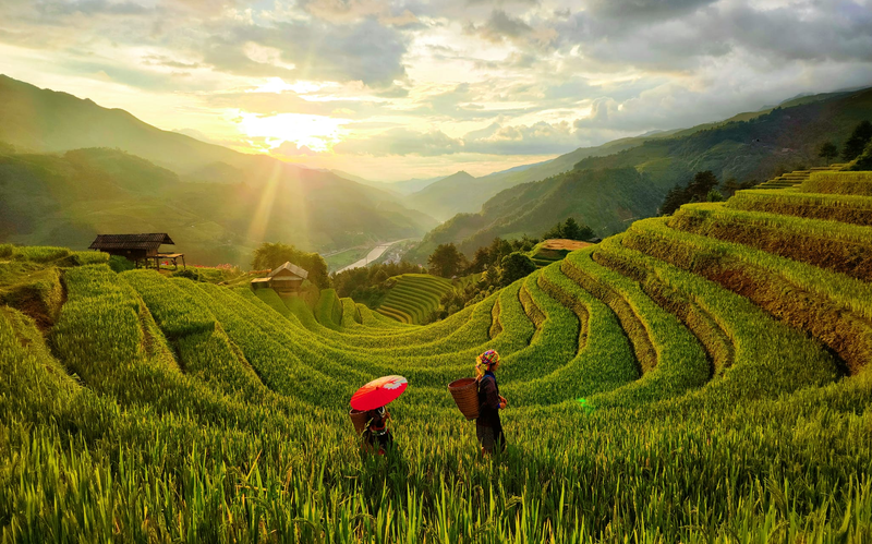 Mù Cang Chải