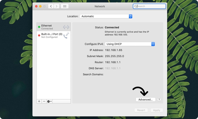 DNS 8.8.8.8 là gì 6