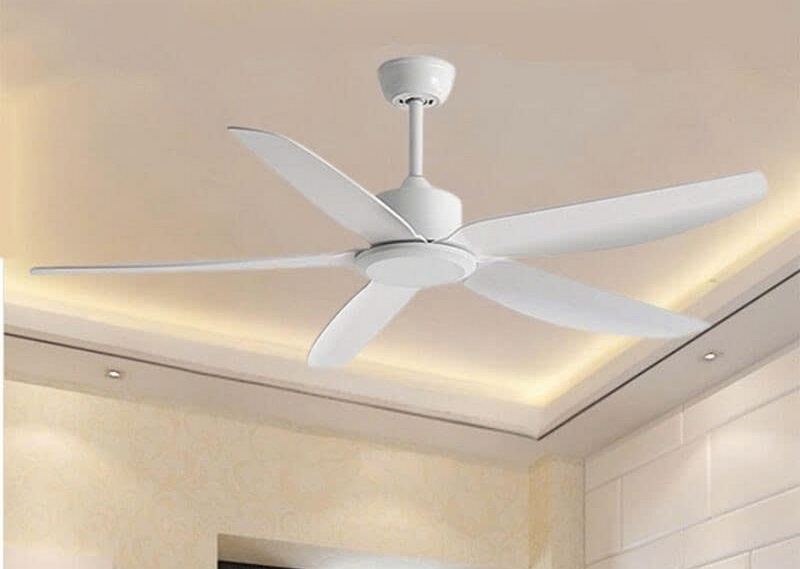 đồ gia dụng Tết 2025 ảnh 4