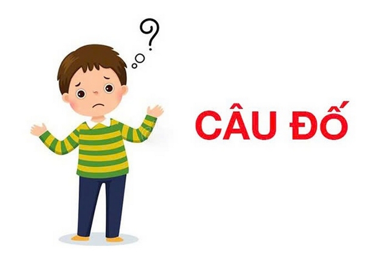 đố vui 20/11 ảnh 3