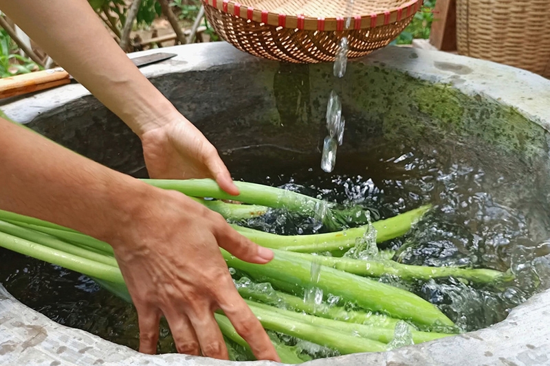 Dọc mùng muối chua xứ Nghệ - 06