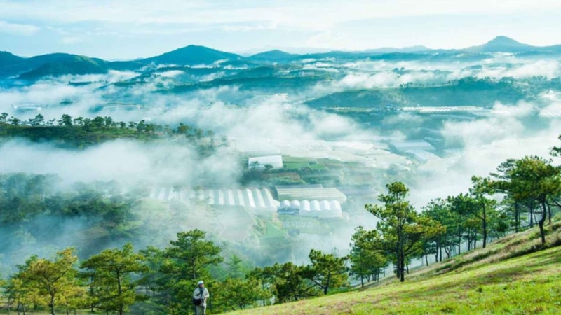 Sương mù tại Đồi Đa Phú xuất hiện quanh năm nhờ khí hậu mát mẻ đặc trưng của Đà Lạt