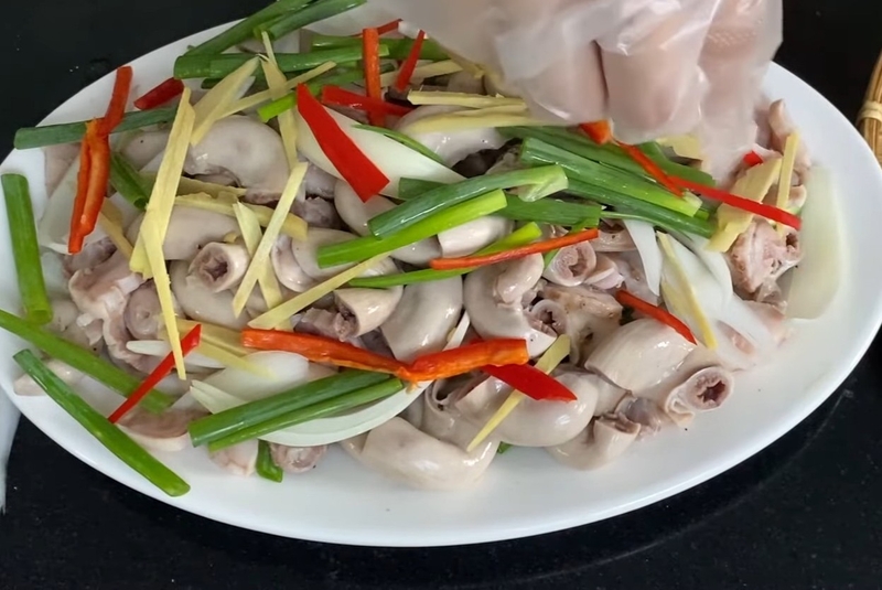 dồi trường hấp hành hình 8