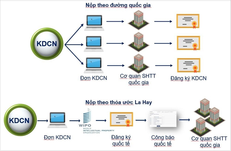 Đơn La Hay là gì 4