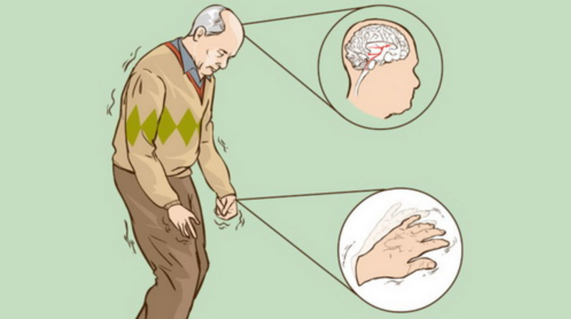 Dopamine là gì? - hình 6