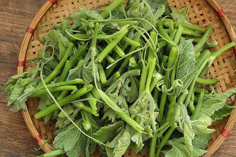 đọt bầu ảnh 2
