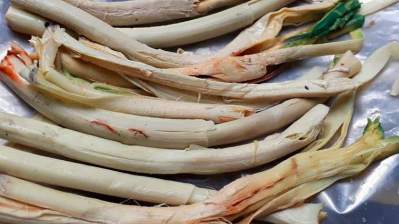 Đọt mây 1