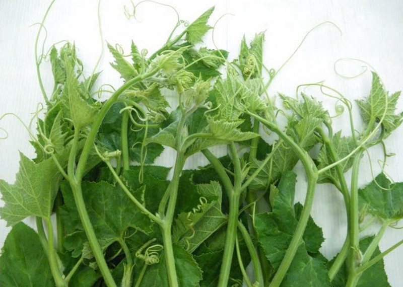 đọt mướp xào tỏi ảnh 2