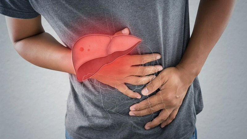 Đọt nhãn lồng có tính mát giúp giải nhiệt, mát gan