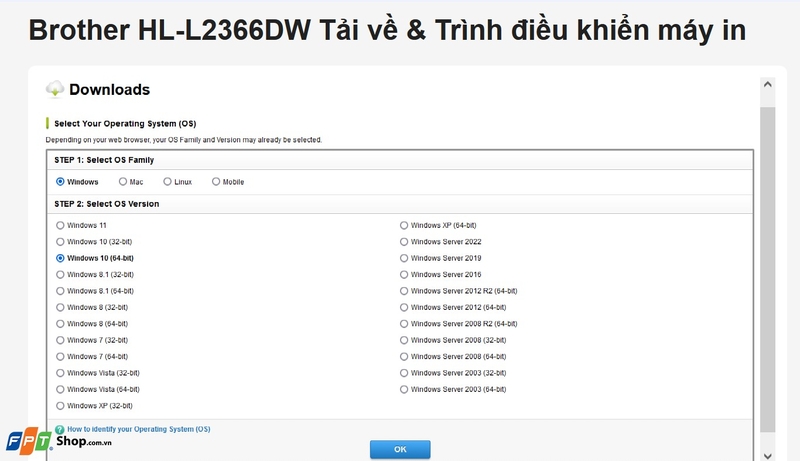 Driver máy in Brother HL L2366DW ảnh 5