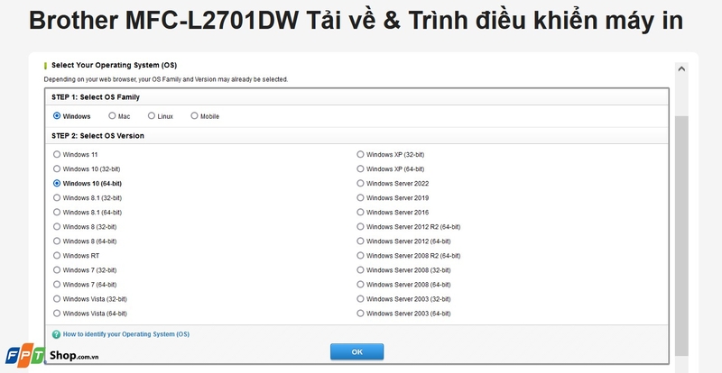 driver máy in Brother MFC L2701DW ảnh 5
