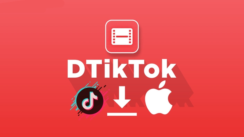 dtiktok là gì hình 2