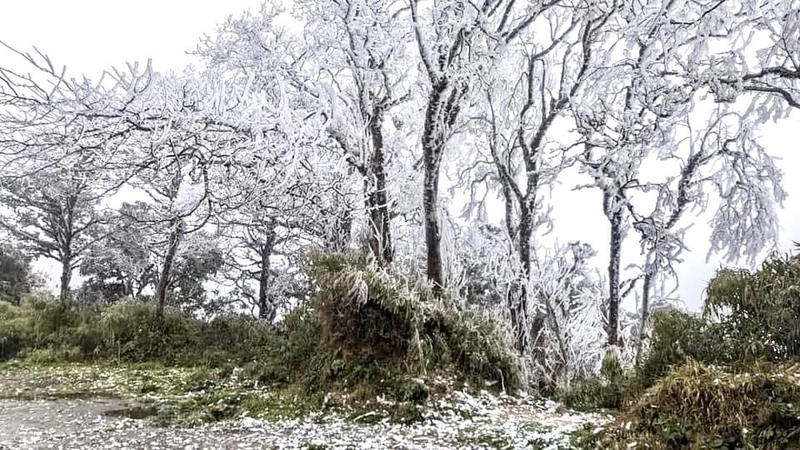 Dự báo thời tiết Tết Âm lịch 2025 1