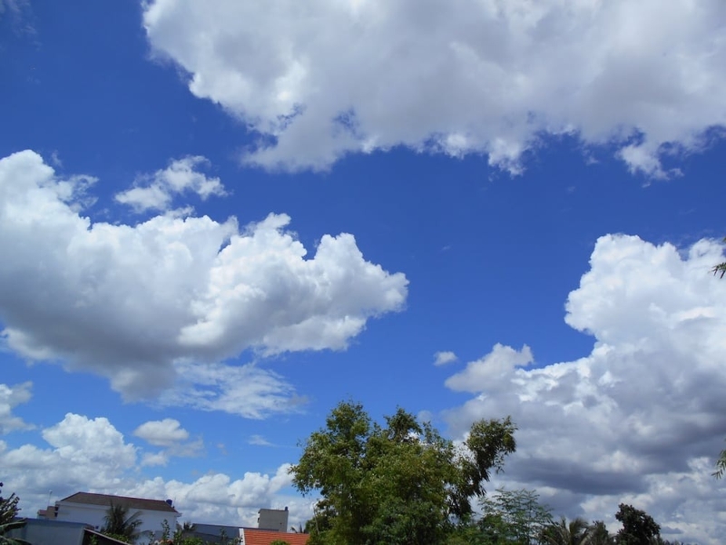 Dự báo thời tiết Tết Âm lịch 2025 3