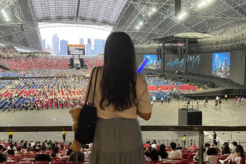 Đu idol là gì 1