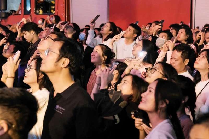 Đu idol là gì 11