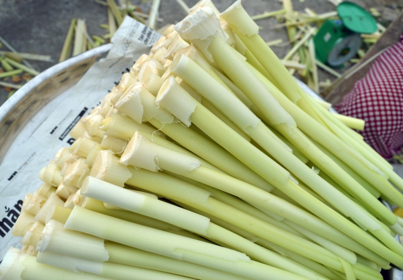 dưa bồn bồn hình 1