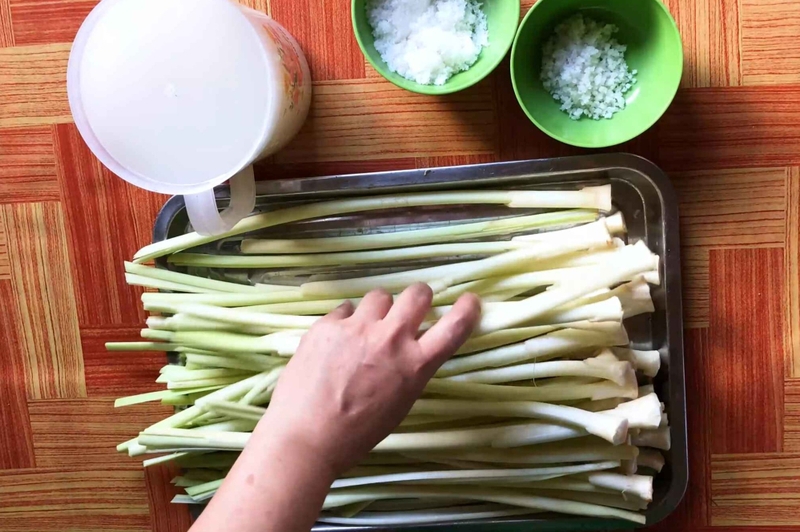 dưa bồn bồn hình 2