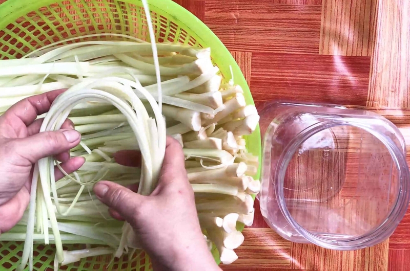 dưa bồn bồn hình 6