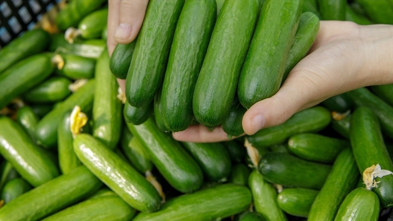 dưa chuột cuộn lườn gà (hình 3)