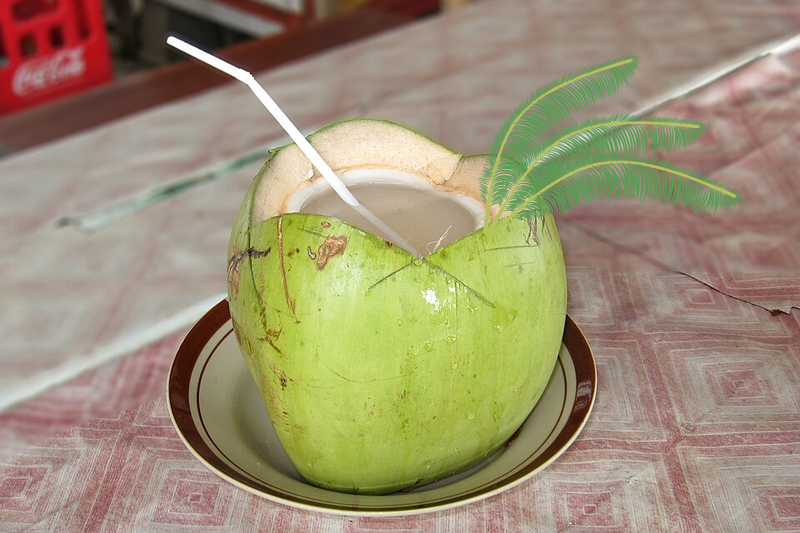 dừa dứa (3)
