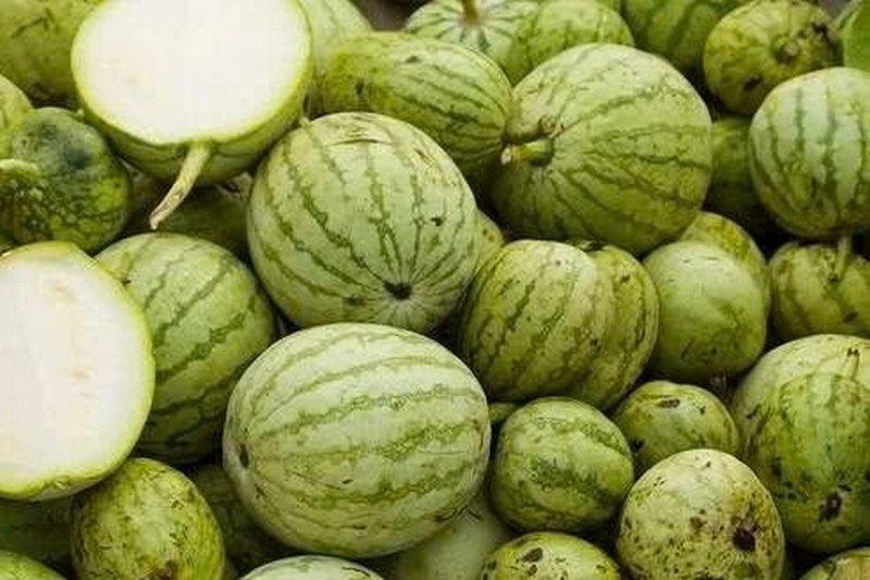 Dưa hồng ảnh 1