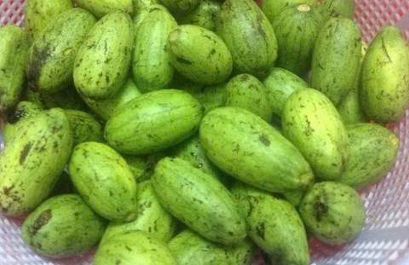 Dưa hồng ảnh 2