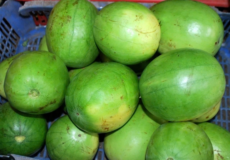 Dưa hồng ảnh 5