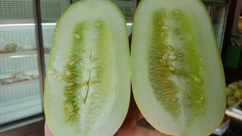 Dưa mèo 2