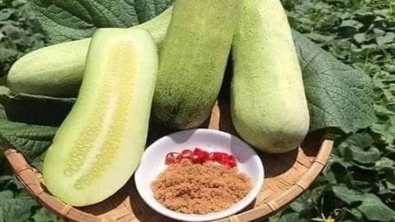 Dưa mèo 4