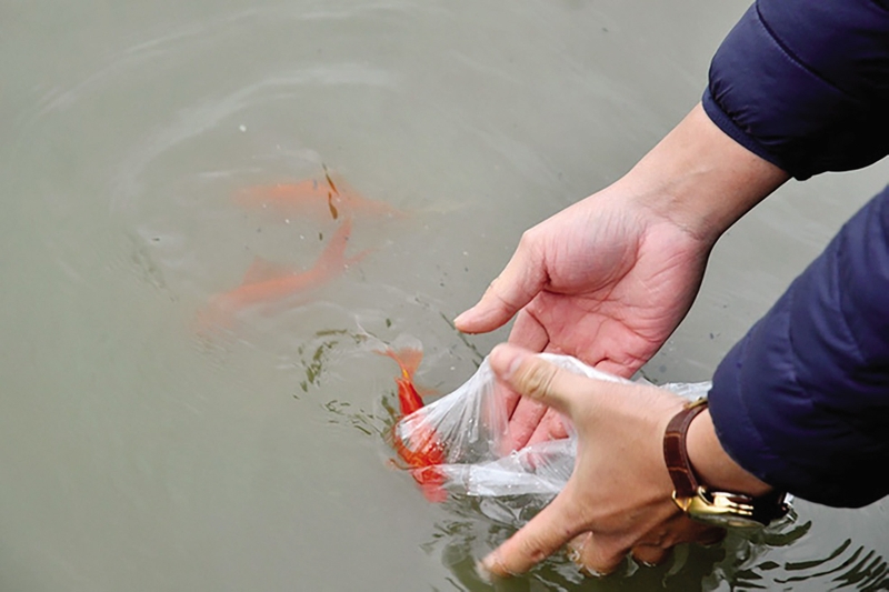 đưa ông Táo về trời ngày mấy hình 2