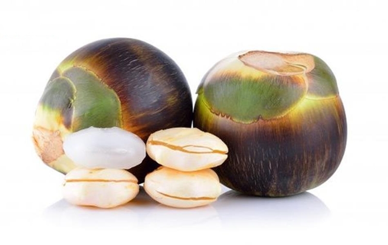 dừa thốt nốt 2