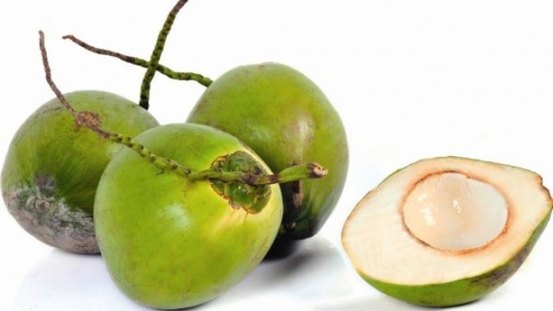 dừa xiêm 2