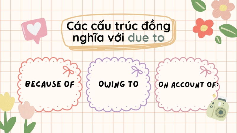 Due to là gì 5
