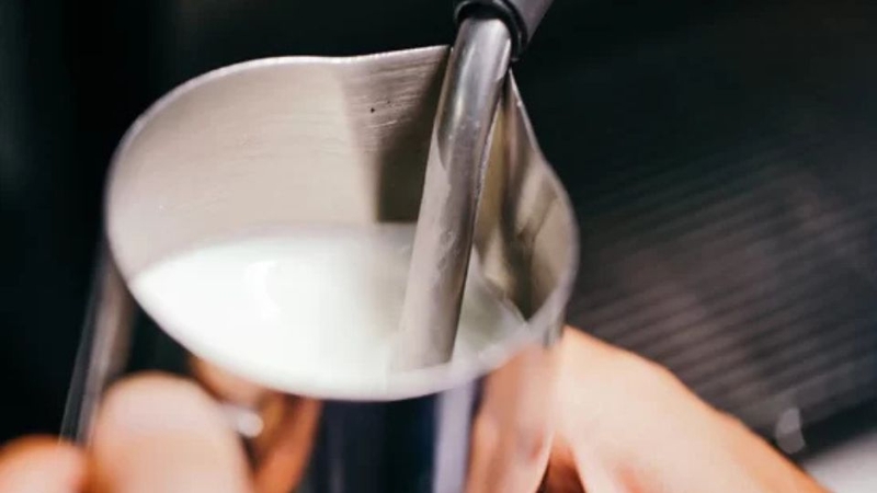 Dụng cụ tạo bọt sữa