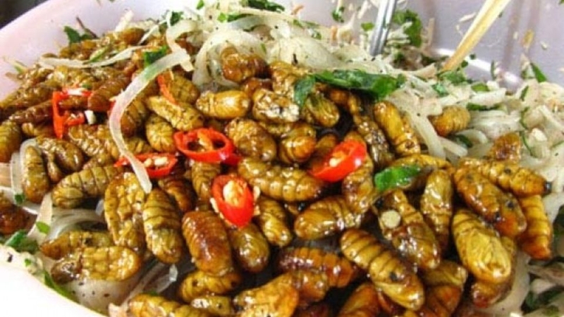 Gỏi đuông dừa