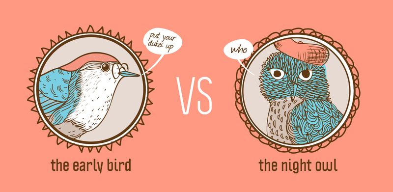 early bird là gì 5.png
