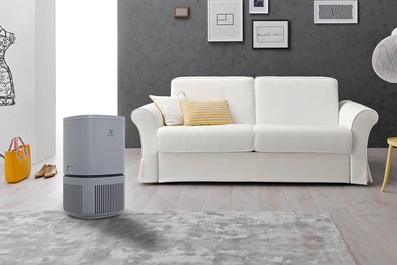 Máy lọc không khí Electrolux EP32-25UGA 25W (hình 1)