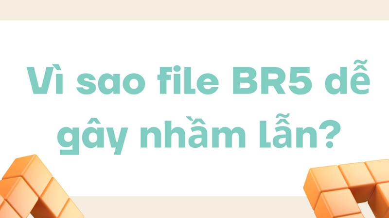 File BR5 là gì 4