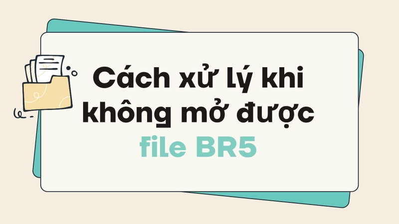 File BR5 là gì 5
