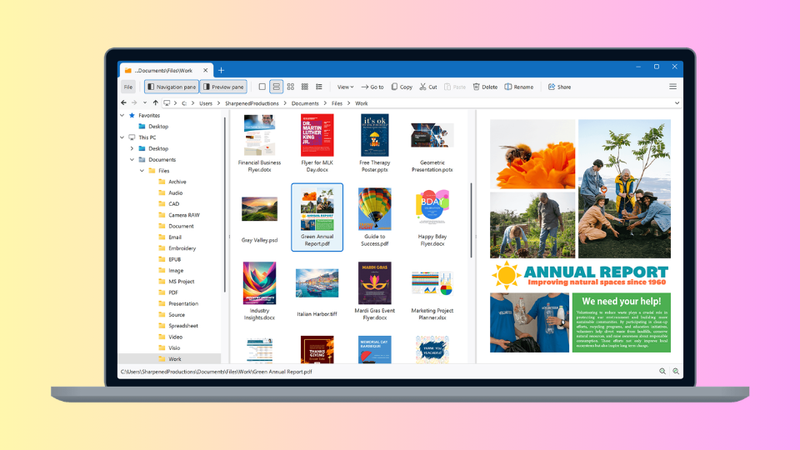 File Viewer Plus