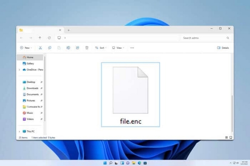 File ENC là gì ảnh 4