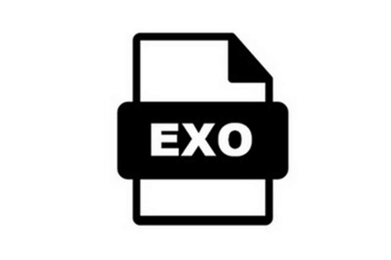 File EXO là gì ảnh 5