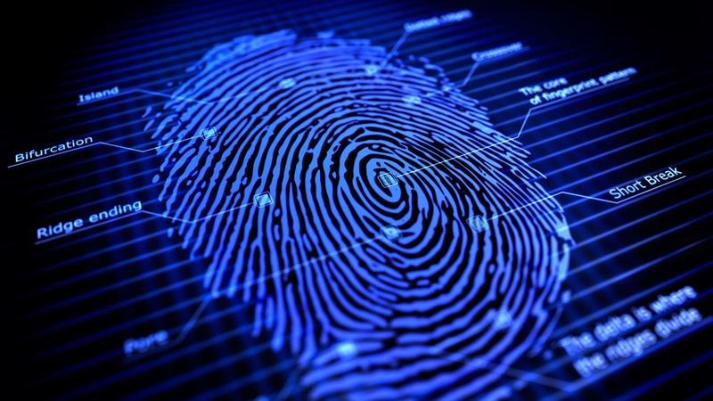Fingerprint là gì 1