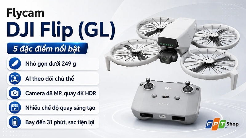 Flycam DJI Flip (GL)