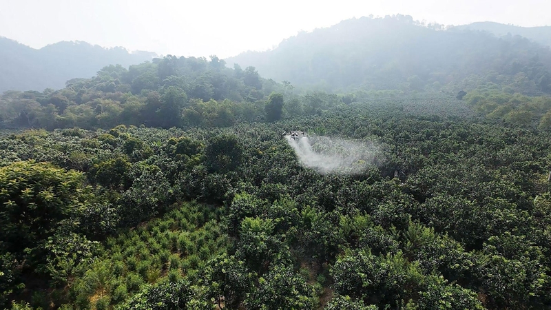 UAV được bay thử nghiệm trên khu vực canh tác.