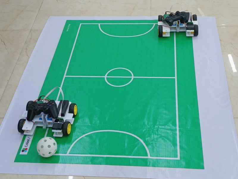 frt-stem-club-204850-9.jpg